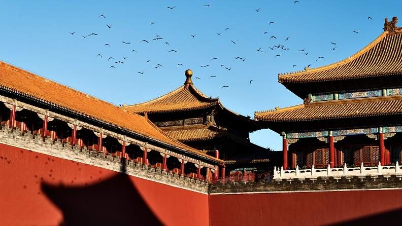 着奇异服装被劝离 衣着自由也要尊重文化传统