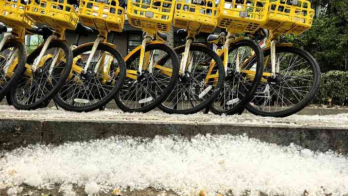 飞絮肆虐扰民、火灾隐患丛生，如何破解？