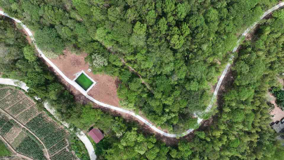 专家解读：进一步筑牢森林草原“防火屏障”