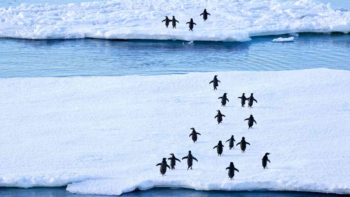 鼓励以绿色低碳方式开展南极活动