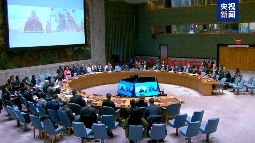 联合国安理会举行轻小武器问题公开辩论会