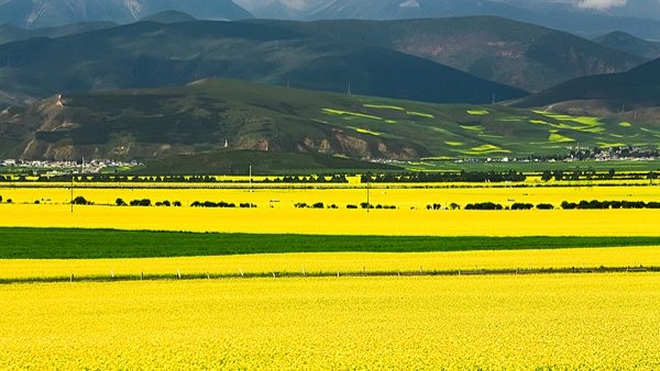 做好“景区＋”大文章