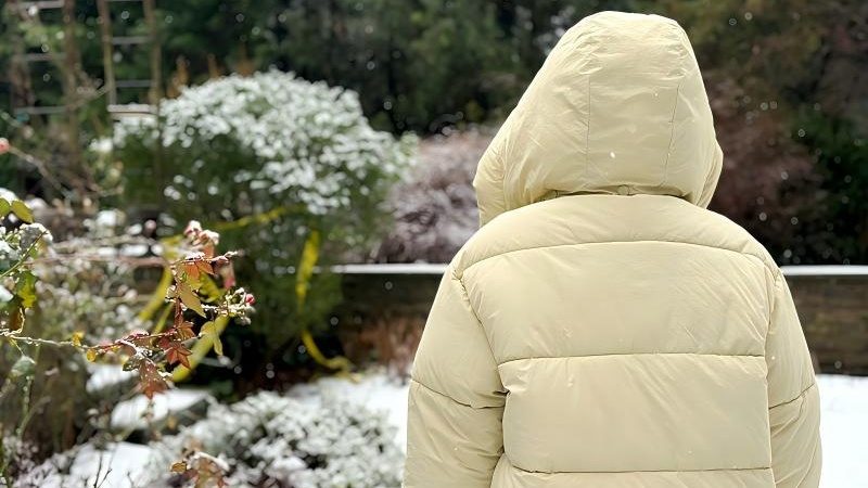 买羽绒服别只盯“含绒量”，还要注意这些问题！