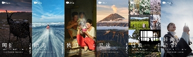 文章详情图片