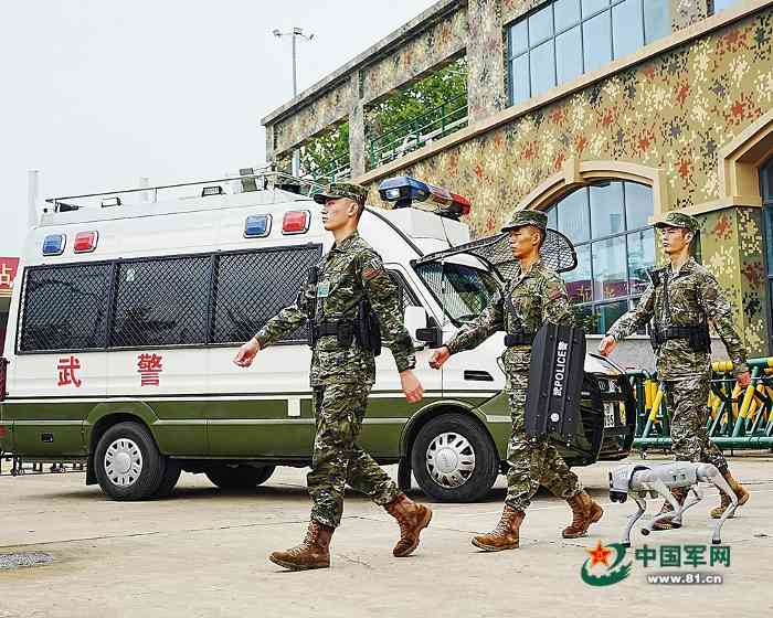 文章详情图片