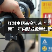 红利主题基金加速“上新” 年内新发数量创新高(图2) 红利主题基金加速“上新” 年内新发数量创新高(图2)