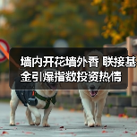 墙内开花墙外香 联接基金引爆指数投资热情(图4) 墙内开花墙外香 联接基金引爆指数投资热情(图4)