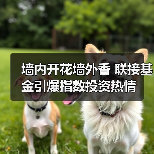 墙内开花墙外香 联接基金引爆指数投资热情(图3) 墙内开花墙外香 联接基金引爆指数投资热情(图3)