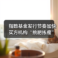 指数基金发行节奏加快 买方机构“挑肥拣瘦”(图3) 指数基金发行节奏加快 买方机构“挑肥拣瘦”(图3)