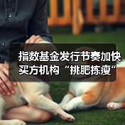 指数基金发行节奏加快 买方机构“挑肥拣瘦”(图1) 指数基金发行节奏加快 买方机构“挑肥拣瘦”(图1)