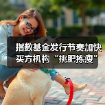 指数基金发行节奏加快 买方机构“挑肥拣瘦”(图4) 指数基金发行节奏加快 买方机构“挑肥拣瘦”(图4)