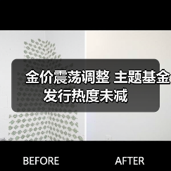 金价震荡调整 主题基金发行热度未减(图4) 金价震荡调整 主题基金发行热度未减(图4)