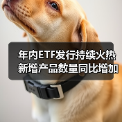 年内ETF发行持续火热 新增产品数量同比增加五成(图4) 年内ETF发行持续火热 新增产品数量同比增加五成(图4)