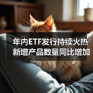 年内ETF发行持续火热 新增产品数量同比增加五成(图1) 年内ETF发行持续火热 新增产品数量同比增加五成(图1)