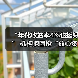 “年化收益率4%也挺好” 机构抱团抢“放心资产”(图4) “年化收益率4%也挺好” 机构抱团抢“放心资产”(图4)