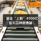 基金“上新”4500亿份 最火品种是债基(图3) 基金“上新”4500亿份 最火品种是债基(图3)