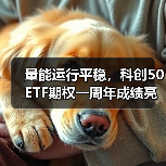 量能运行平稳,科创50ETF期权一周年成绩亮眼(图3) 量能运行平稳,科创50ETF期权一周年成绩亮眼(图3)