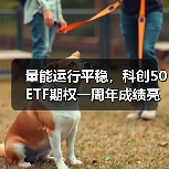 量能运行平稳,科创50ETF期权一周年成绩亮眼(图4) 量能运行平稳,科创50ETF期权一周年成绩亮眼(图4)