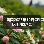 美国2025年12月CPI同比上涨2.7%(图4) 美国2025年12月CPI同比上涨2.7%(图4)