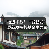 接近半数!“发起式”成新发指数基金主力军(图3) 接近半数!“发起式”成新发指数基金主力军(图3)