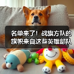 名单来了！战旗方队的旗帜来自这些英雄部队（图4）