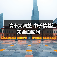 债市大调整 中长债基迎来全面回调(图3) 债市大调整 中长债基迎来全面回调(图3)