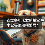 连续多年未发新基金 中小公募该如何破局?(图2) 连续多年未发新基金 中小公募该如何破局?(图2)