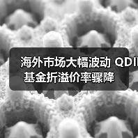 海外市场大幅波动 QDII基金折溢价率骤降(图1) 海外市场大幅波动 QDII基金折溢价率骤降(图1)