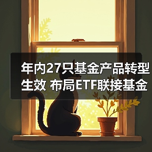 年内27只基金产品转型生效 布局ETF联接基金成主流(图1) 年内27只基金产品转型生效 布局ETF联接基金成主流(图1)