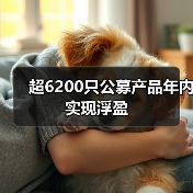 超6200只公募产品年内实现浮盈(图1) 超6200只公募产品年内实现浮盈(图1)