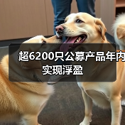超6200只公募产品年内实现浮盈(图2) 超6200只公募产品年内实现浮盈(图2)