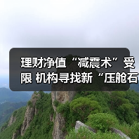 理财净值“减震术”受限 机构寻找新“压舱石”(图1) 理财净值“减震术”受限 机构寻找新“压舱石”(图1)