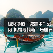 理财净值“减震术”受限 机构寻找新“压舱石”(图3) 理财净值“减震术”受限 机构寻找新“压舱石”(图3)