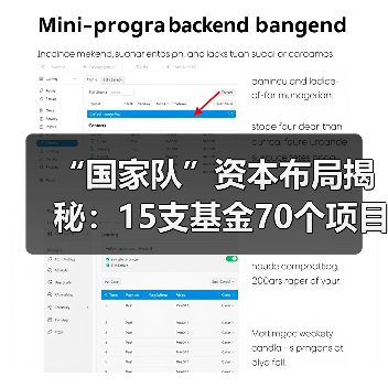 “国家队”资本布局揭秘:15支基金70个项目(图3) “国家队”资本布局揭秘:15支基金70个项目(图3)