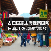 古巴国家主席视察国防日演习 强调团结御敌（图1）