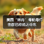 美国“林肯”号航母打击群已经抵达中东（图4）