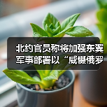 北约官员称将加强东翼军事部署以“威慑俄罗斯”（图1）