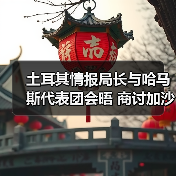 土耳其情报局长与哈马斯代表团会晤 商讨加沙停火第二阶段（图4）