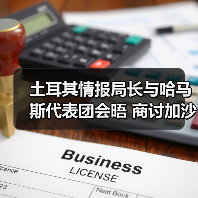 土耳其情报局长与哈马斯代表团会晤 商讨加沙停火第二阶段（图2）