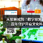 从紫禁城到“数字故宫” 百年守护开启文化科技新纪元(图3) 从紫禁城到“数字故宫” 百年守护开启文化科技新纪元(图3)