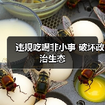 违规吃喝非小事 破坏政治生态(图2) 违规吃喝非小事 破坏政治生态(图2)