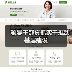 领导干部真抓实干推动基层建设(图1) 领导干部真抓实干推动基层建设(图1)