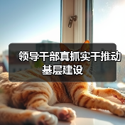 领导干部真抓实干推动基层建设(图2) 领导干部真抓实干推动基层建设(图2)