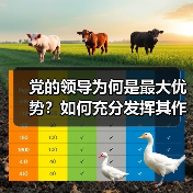 党的领导为何是最大优势？如何充分发挥其作用？（图4）
