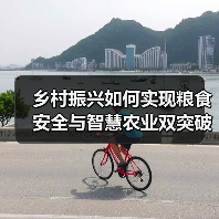 乡村振兴如何实现粮食安全与智慧农业双突破？（图3）