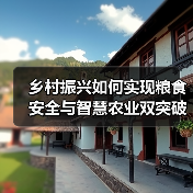 乡村振兴如何实现粮食安全与智慧农业双突破？（图4）