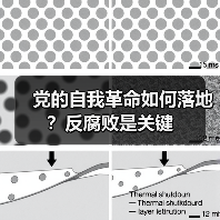 党的自我革命如何落地?反腐败是关键(图4) 党的自我革命如何落地?反腐败是关键(图4)