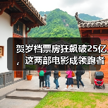 贺岁档票房狂飙破25亿，这两部电影成领跑者？（图4）