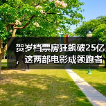 贺岁档票房狂飙破25亿，这两部电影成领跑者？（图3）