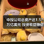 中投公司总资产达1.57万亿美元 投资收益稳健增长(图3) 中投公司总资产达1.57万亿美元 投资收益稳健增长(图3)
